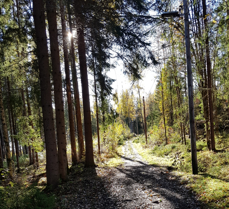 Gå på den väg som leder till Gud.